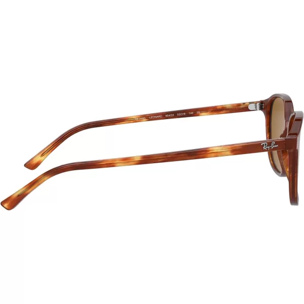 RayBan RB2193 Leonard Square SunglassesStriped HavanaB15 Brown