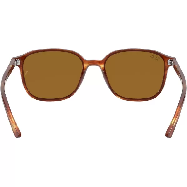 RayBan RB2193 Leonard Square SunglassesStriped HavanaB15 Brown