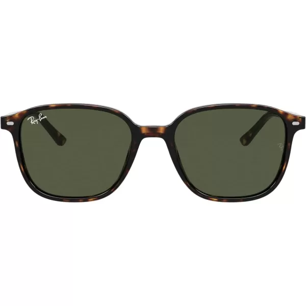 RayBan RB2193 Leonard Square SunglassesTortoiseG15 Green