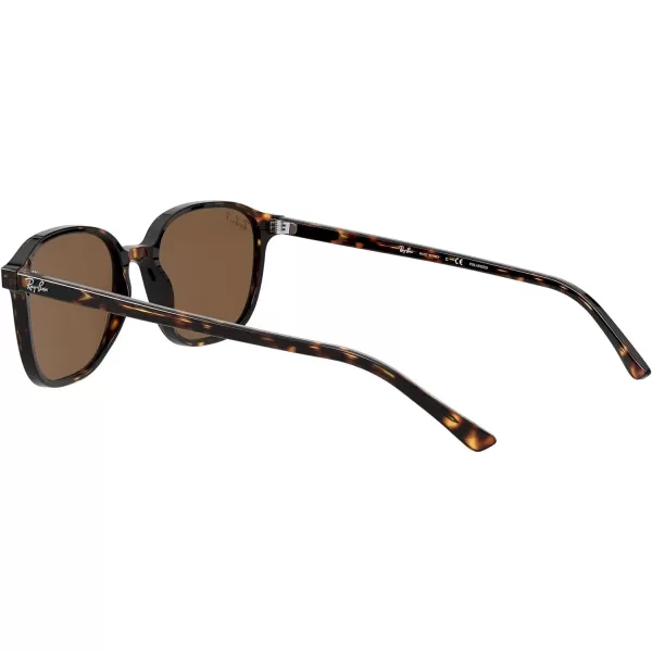 RayBan RB2193 Leonard Square SunglassesTortoisePolarized B15 Brown