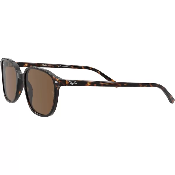 RayBan RB2193 Leonard Square SunglassesTortoisePolarized B15 Brown