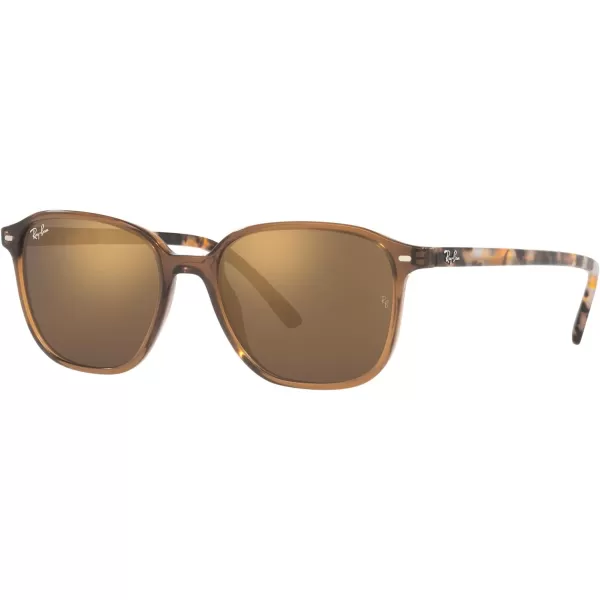 RayBan RB2193 Leonard Square SunglassesTransparent BrownLight Brown Mirrored Gold