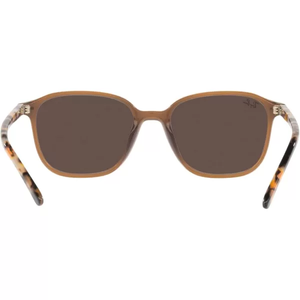 RayBan RB2193 Leonard Square SunglassesTransparent BrownLight Brown Mirrored Gold