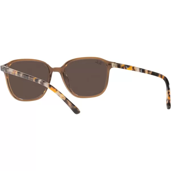 RayBan RB2193 Leonard Square SunglassesTransparent BrownLight Brown Mirrored Gold