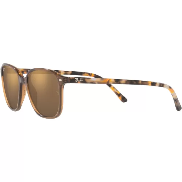 RayBan RB2193 Leonard Square SunglassesTransparent BrownLight Brown Mirrored Gold