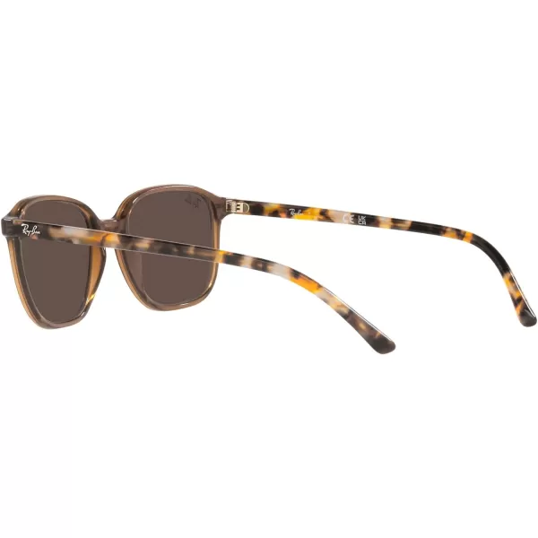 RayBan RB2193 Leonard Square SunglassesTransparent BrownLight Brown Mirrored Gold