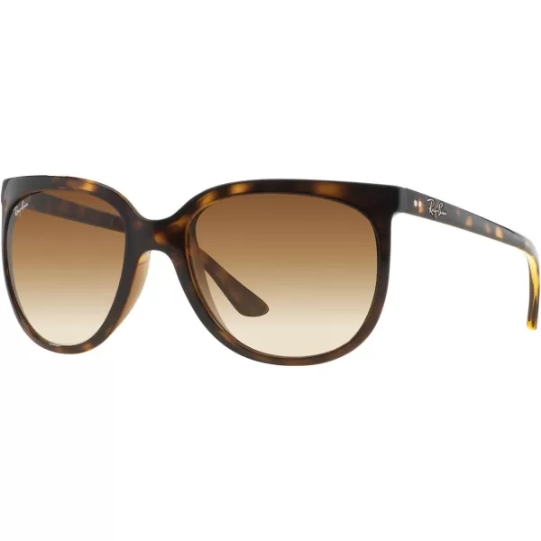 RayBan RB4126 Cats 1000 SunglassesLight HavanaClear Gradient Brown