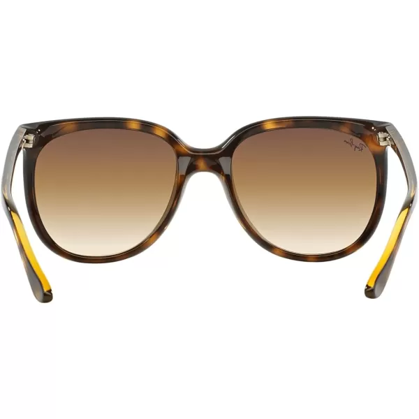 RayBan RB4126 Cats 1000 SunglassesLight HavanaClear Gradient Brown