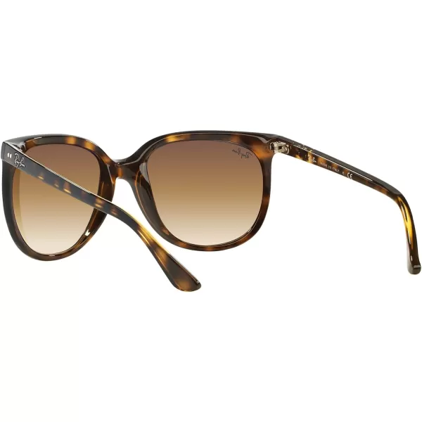 RayBan RB4126 Cats 1000 SunglassesLight HavanaClear Gradient Brown