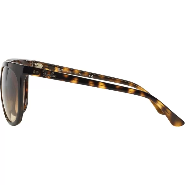 RayBan RB4126 Cats 1000 SunglassesLight HavanaClear Gradient Brown