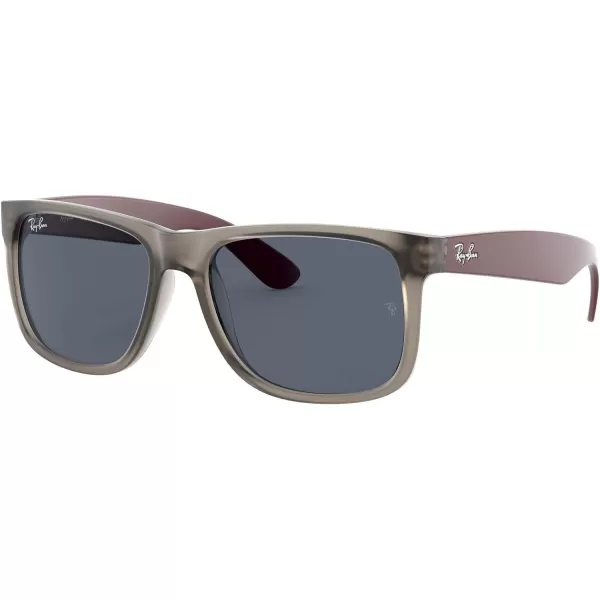 RayBan RB4165 Justin Rectangular SunglassesRubber Transparent GreyDark Grey