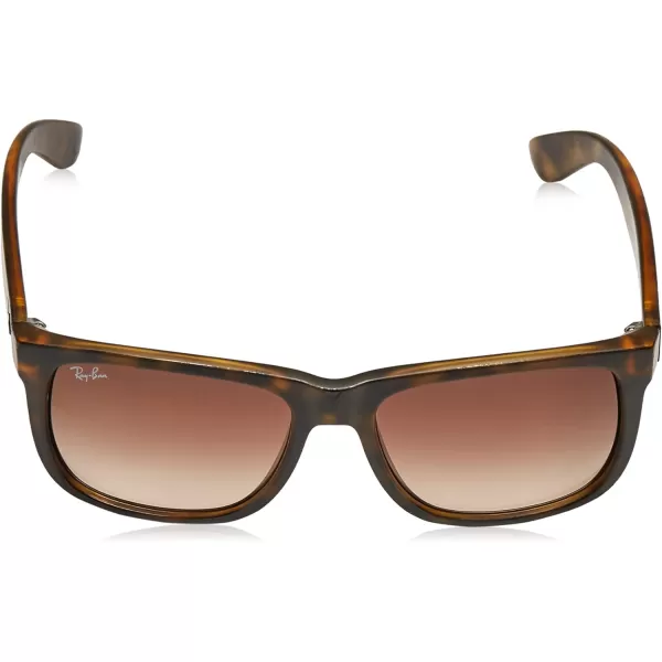 RayBan RB4165 Justin Rectangular SunglassesTortoise