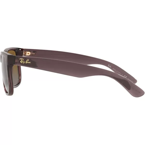 RayBan RB4165 Justin Rectangular SunglassesTransparent Dark BrownGradient Brown Polarized