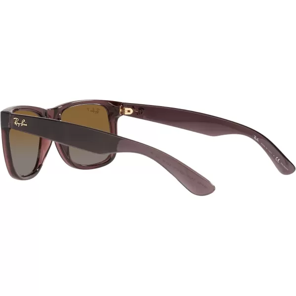 RayBan RB4165 Justin Rectangular SunglassesTransparent Dark BrownGradient Brown Polarized