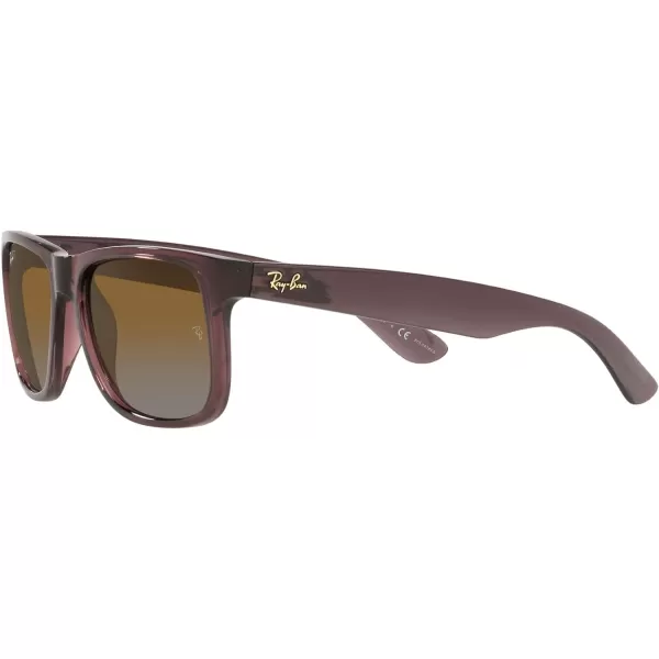 RayBan RB4165 Justin Rectangular SunglassesTransparent Dark BrownGradient Brown Polarized