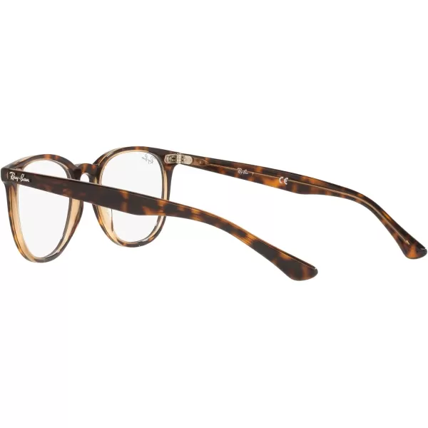 RayBan RX7159 Round Prescription Eyeglass FramesHavana on Transparent BrownDemo Lens