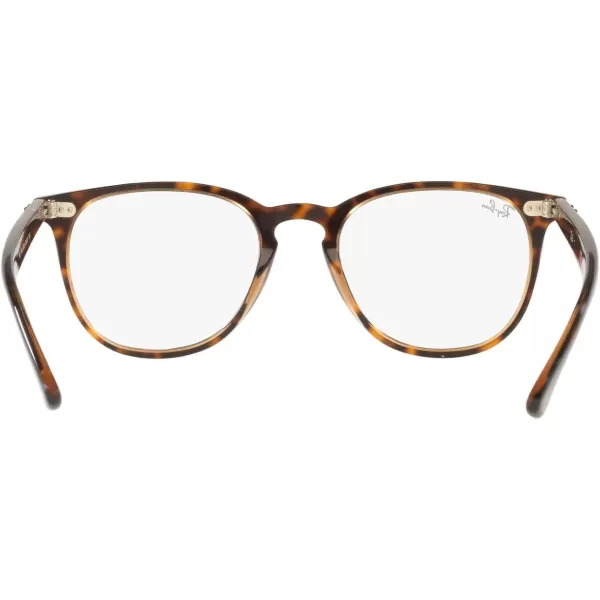 RayBan RX7159 Round Prescription Eyeglass FramesHavana on Transparent BrownDemo Lens