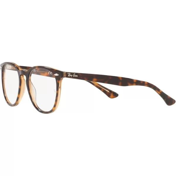 RayBan RX7159 Round Prescription Eyeglass FramesHavana on Transparent BrownDemo Lens