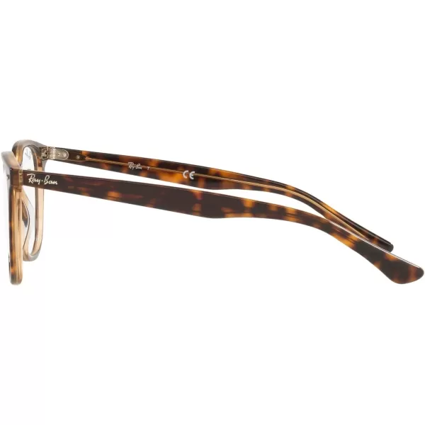 RayBan RX7159 Round Prescription Eyeglass FramesHavana on Transparent BrownDemo Lens