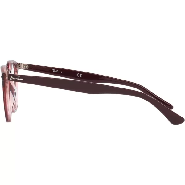 RayBan RX7159 Round Prescription Eyeglass FramesHavana on Transparent PurpleDemo Lens