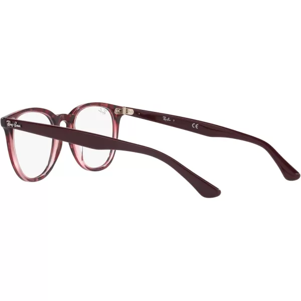 RayBan RX7159 Round Prescription Eyeglass FramesHavana on Transparent PurpleDemo Lens