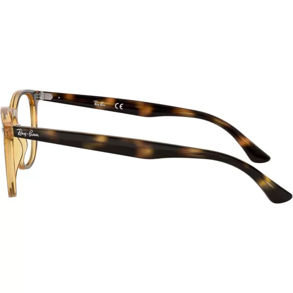 RayBan RX7159 Round Prescription Eyeglass FramesHavanaDemo Lens