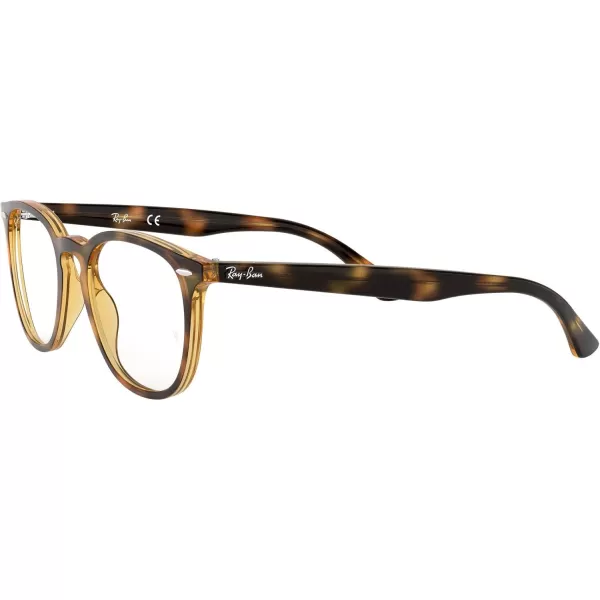 RayBan RX7159 Round Prescription Eyeglass FramesHavanaDemo Lens