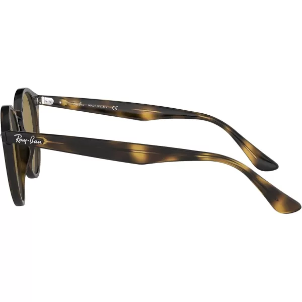 RayBan Rb2180 Round SunglassesLight HavanaDark Brown