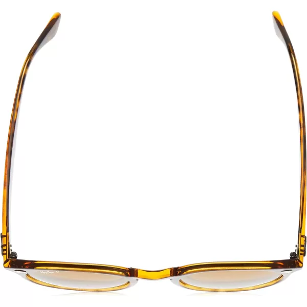 RayBan Rb2180 Round SunglassesLight HavanaPolarized Brown