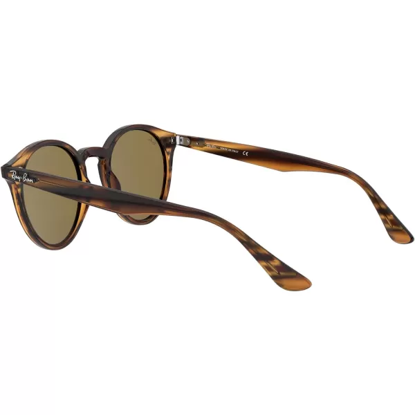 RayBan Rb2180 Round SunglassesStriped Red HavanaDark Brown