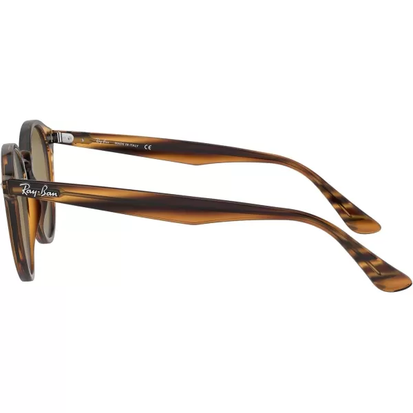 RayBan Rb2180 Round SunglassesStriped Red HavanaDark Brown