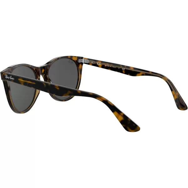 RayBan Rb2185 Wayfarer Ii Round SunglassesHavana on Transparent BrownDark Grey
