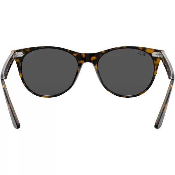 RayBan Rb2185 Wayfarer Ii Round SunglassesHavana on Transparent BrownDark Grey