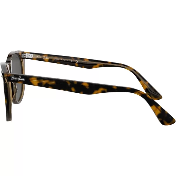 RayBan Rb2185 Wayfarer Ii Round SunglassesHavana on Transparent BrownDark Grey