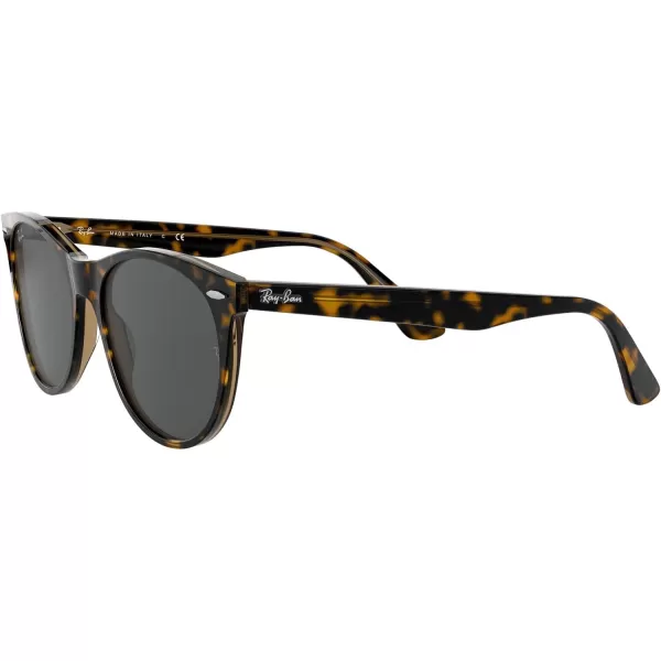 RayBan Rb2185 Wayfarer Ii Round SunglassesHavana on Transparent BrownDark Grey