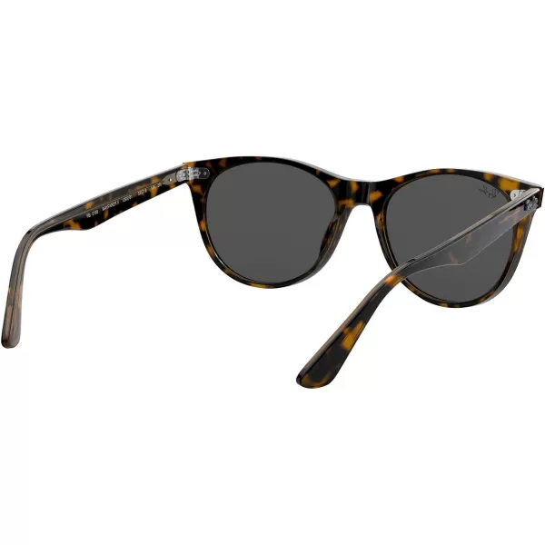 RayBan Rb2185 Wayfarer Ii Round SunglassesHavana on Transparent BrownDark Grey