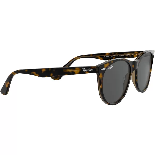 RayBan Rb2185 Wayfarer Ii Round SunglassesHavana on Transparent BrownDark Grey