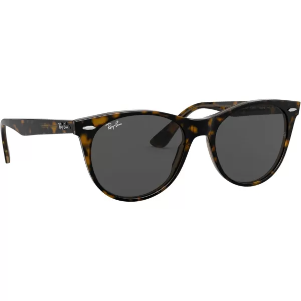 RayBan Rb2185 Wayfarer Ii Round SunglassesHavana on Transparent BrownDark Grey