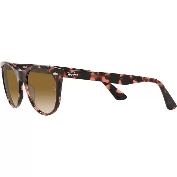 RayBan Rb2185 Wayfarer Ii Round SunglassesPink HavanaClear Gradient Brown