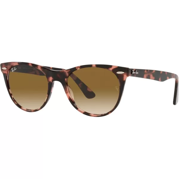 RayBan Rb2185 Wayfarer Ii Round SunglassesPink HavanaClear Gradient Brown