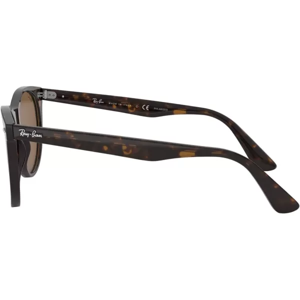 RayBan Rb2185 Wayfarer Ii Round SunglassesTortoiseB15 Brown Polarized