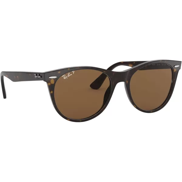RayBan Rb2185 Wayfarer Ii Round SunglassesTortoiseB15 Brown Polarized