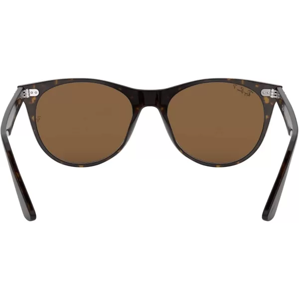 RayBan Rb2185 Wayfarer Ii Round SunglassesTortoiseB15 Brown Polarized