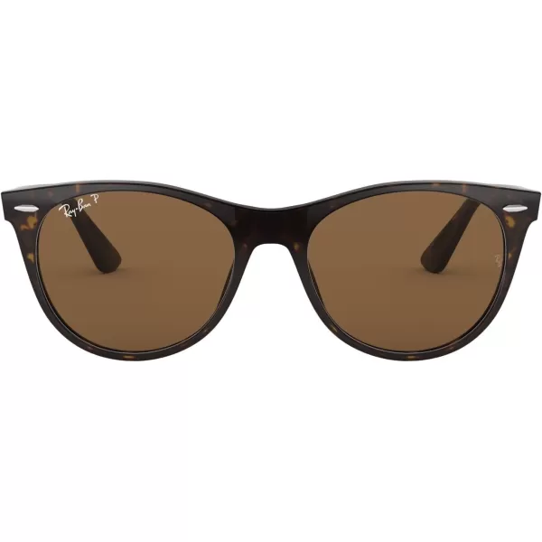 RayBan Rb2185 Wayfarer Ii Round SunglassesTortoiseB15 Brown Polarized