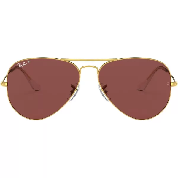 RayBan Rb3025 Classic Polarized Aviator SunglassesLegend GoldPolarized Purple