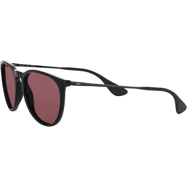 RayBan Rb4171 Erika Round SunglassesBlackPolarized Purple