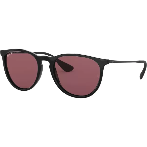 RayBan Rb4171 Erika Round SunglassesBlackPolarized Purple