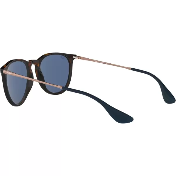 RayBan Rb4171 Erika Round SunglassesHavanaDark Blue
