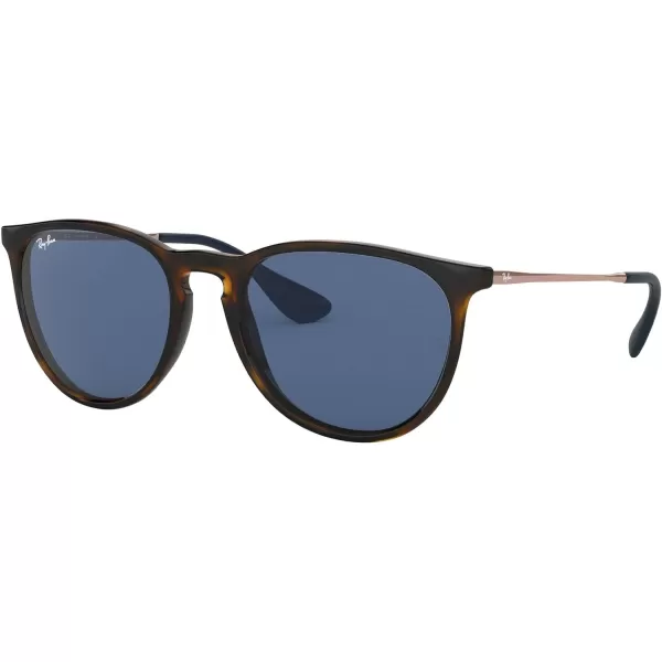 RayBan Rb4171 Erika Round SunglassesHavanaDark Blue