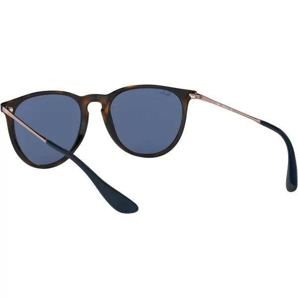 RayBan Rb4171 Erika Round SunglassesHavanaDark Blue